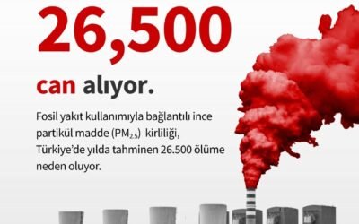 Türkiye’de Fosil Yakıt Kaynaklı Hava Kirliliği Yılda 55 Milyar Doları Küle Çeviriyor